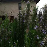 Bed and Breakfast Il Poggio Degli Scoiattoli Περούτζια