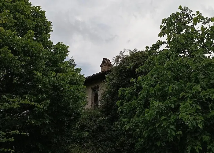 Il Poggio Degli Scoiattoli فندق مبيت وإفطار بيرودجا