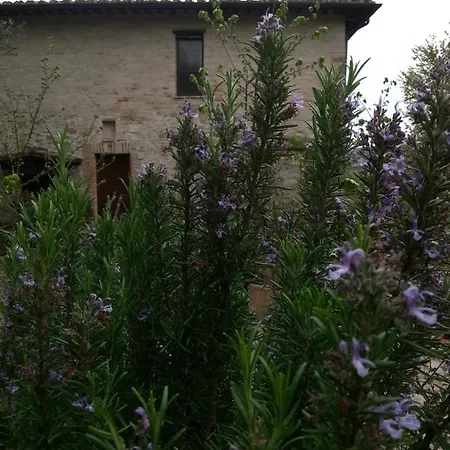 Bed & Breakfast Il Poggio Degli Scoiattoli Perugia
