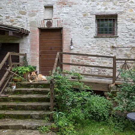 Il Poggio Degli Scoiattoli فندق مبيت وإفطار *