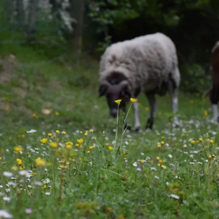 Il Poggio Degli Scoiattoli 페루자