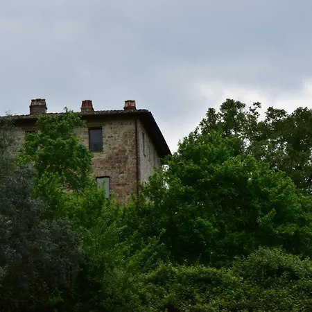 Il Poggio Degli Scoiattoli