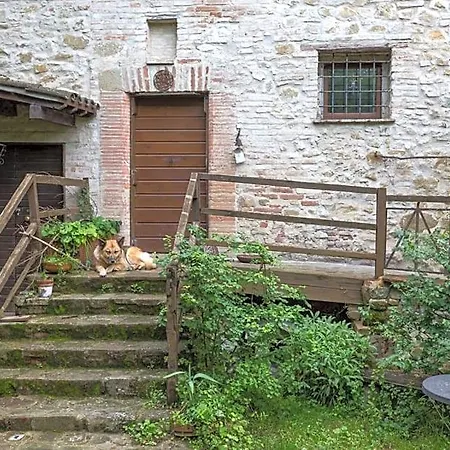 Il Poggio Degli Scoiattoli