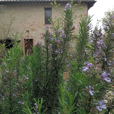 Il Poggio Degli Scoiattoli Oda ve Kahvaltı Perugia