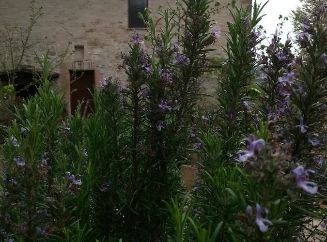 Bed & Breakfast Il Poggio Degli Scoiattoli Perugia