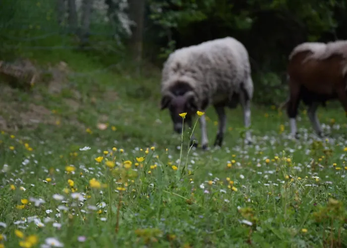 Il Poggio Degli Scoiattoli Perúgia
